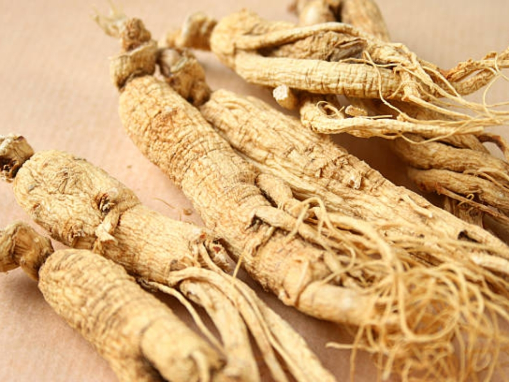 Bảo quản sâm tươi trong hộp, lọ kín